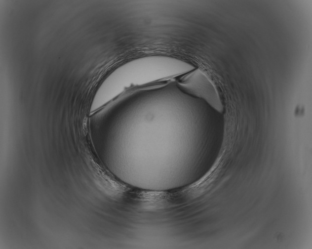 X0000088870192200706291549