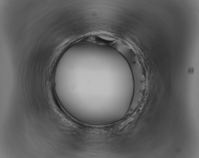 X0000088870193200706291548