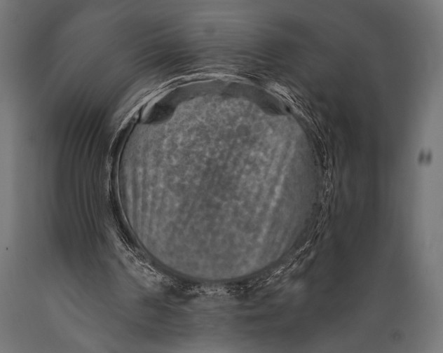 X0000088870194200706291548