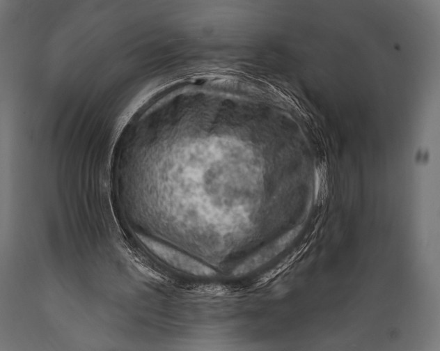 X0000088870195200706291548