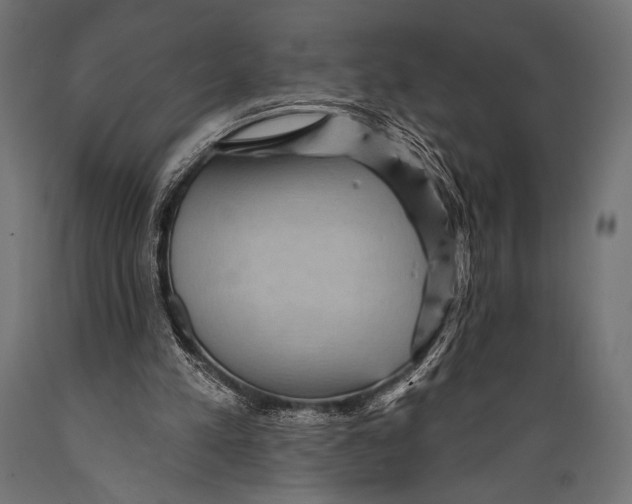 X0000088870197200706291548