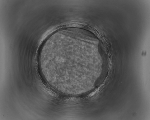 X0000088870198200706291548