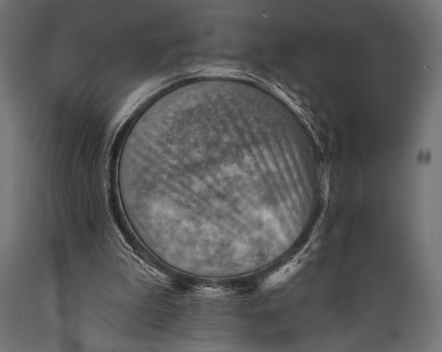 X0000088870199200706291548