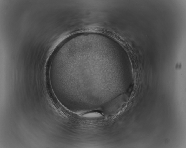 X0000088870200200706291548