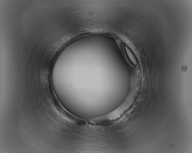 X0000088870201200706291548