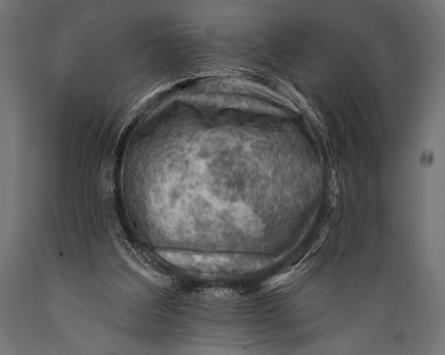 X0000088870203200706291548