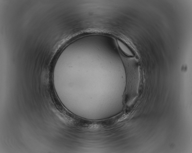 X0000088870204200706291548