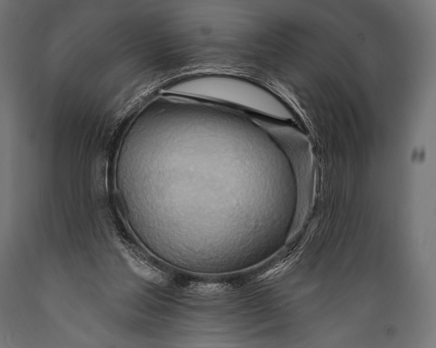 X0000088870205200706291548