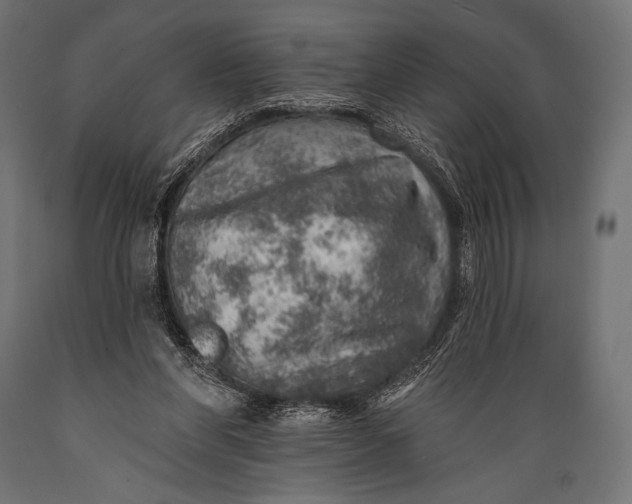 X0000088870206200706291548