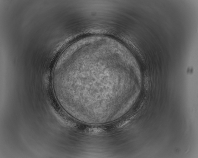 X0000088870208200706291548