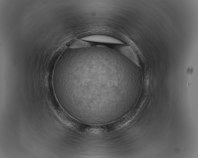 X0000088870209200706291548