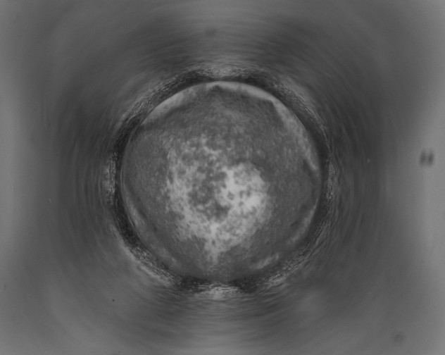 X0000088870210200706291548