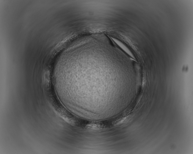 X0000088870211200706291548