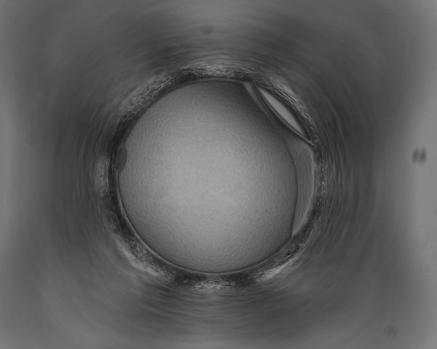 X0000088870213200706291548