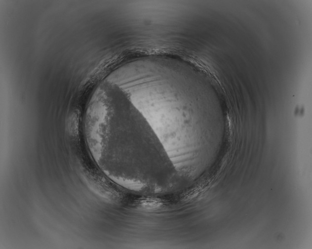 X0000088870214200706291548