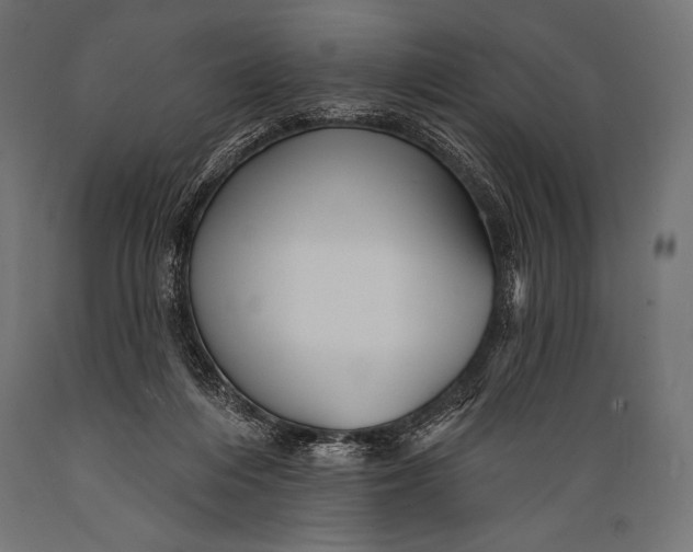 X0000088870216200706291548