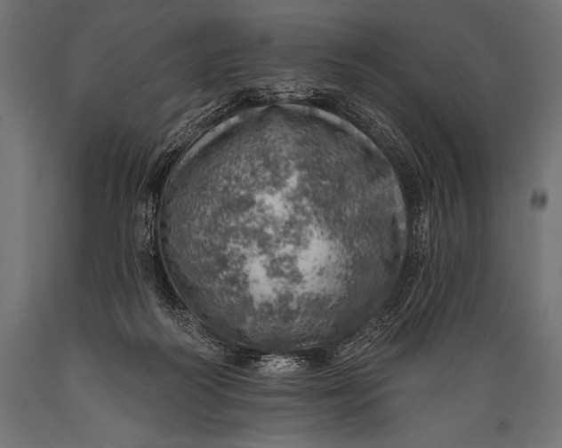 X0000088870218200706291548