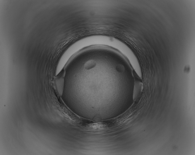 X0000088870219200706291548