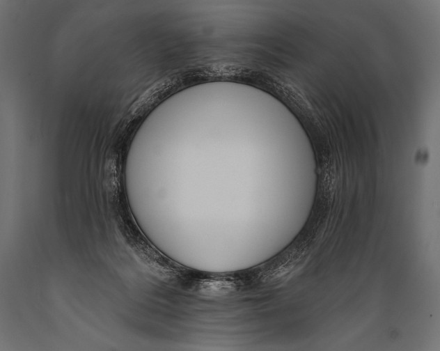 X0000088870220200706291548