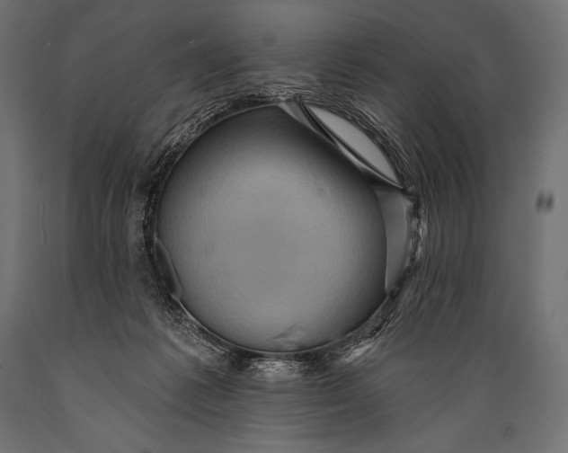 X0000088870221200706291548