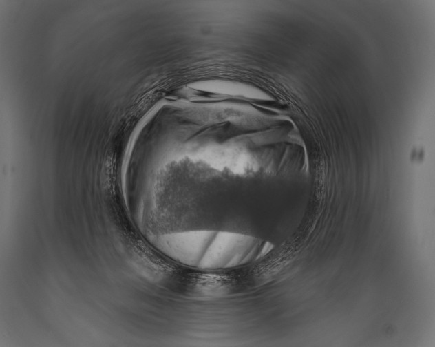 X0000088870222200706291548
