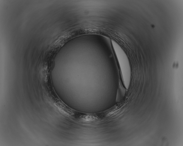 X0000088870223200706291547