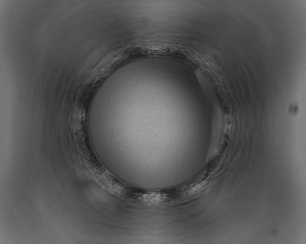 X0000088870225200706291547