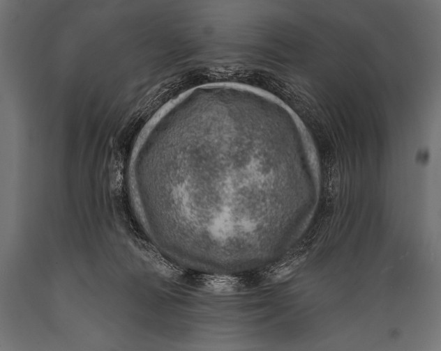X0000088870226200706291547