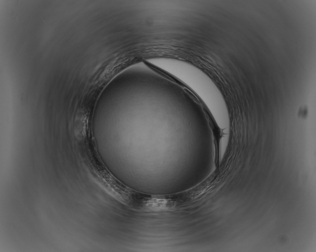 X0000088870227200706291547