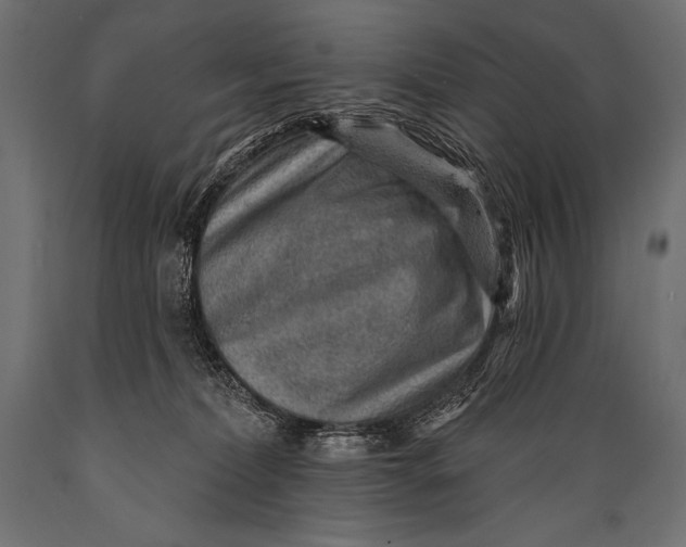 X0000088870228200706291547