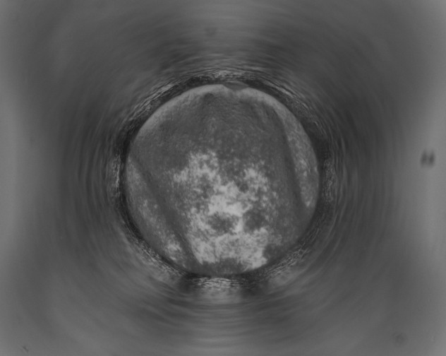 X0000088870230200706291547