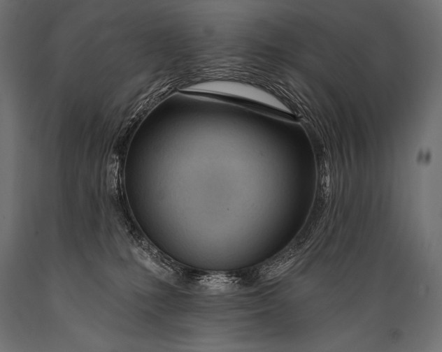 X0000088870231200706291547