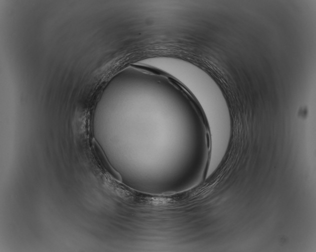 X0000088870233200706291547
