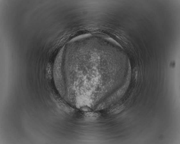 X0000088870234200706291547