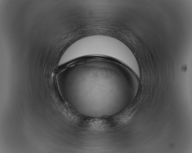 X0000088870235200706291547