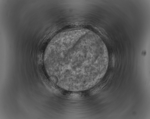 X0000088870236200706291547