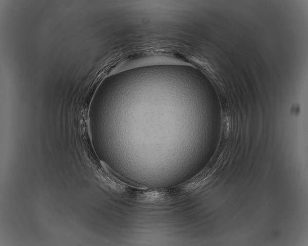 X0000088870237200706291547