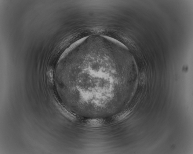 X0000088870238200706291547