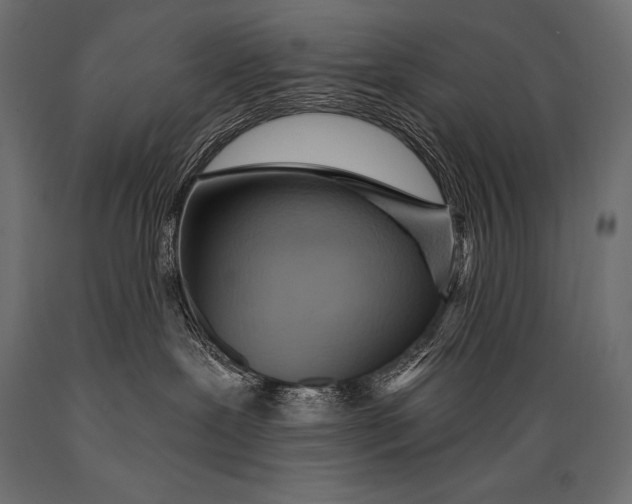 X0000088870239200706291547
