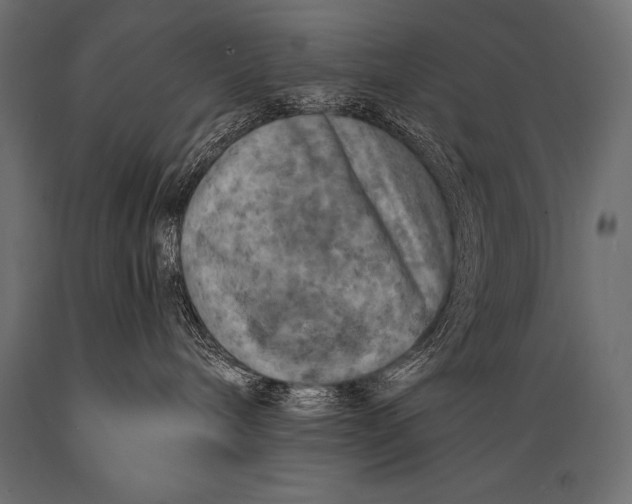 X0000088870240200706291547