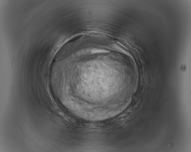 X0000088870241200706291546