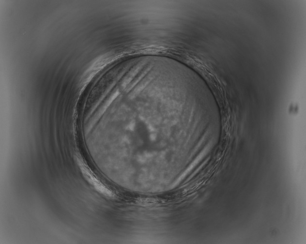 X0000088870242200706291546