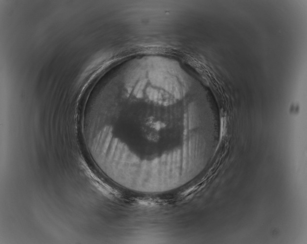 X0000088870243200706291546