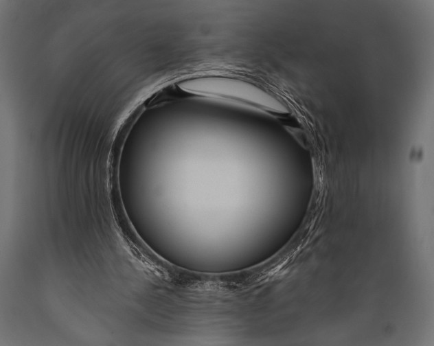 X0000088870244200706291546