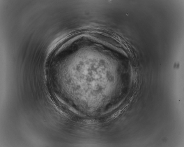 X0000088870245200706291546