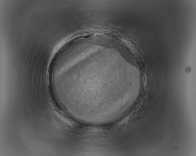 X0000088870246200706291546