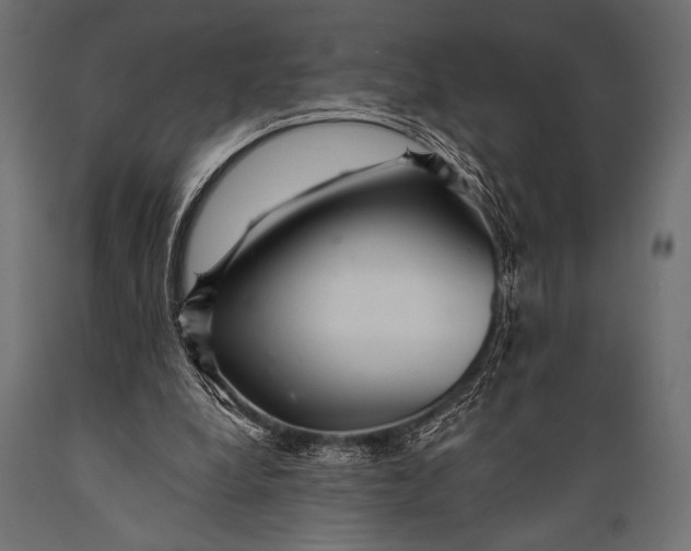 X0000088870248200706291547