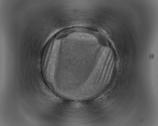 X0000088870249200706291547