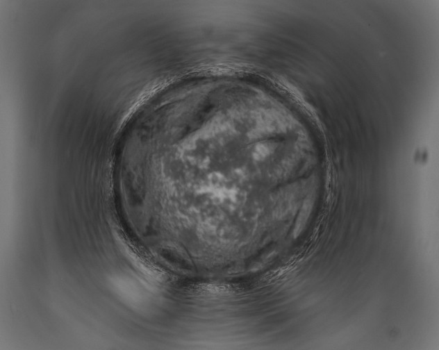 X0000088870250200706291547
