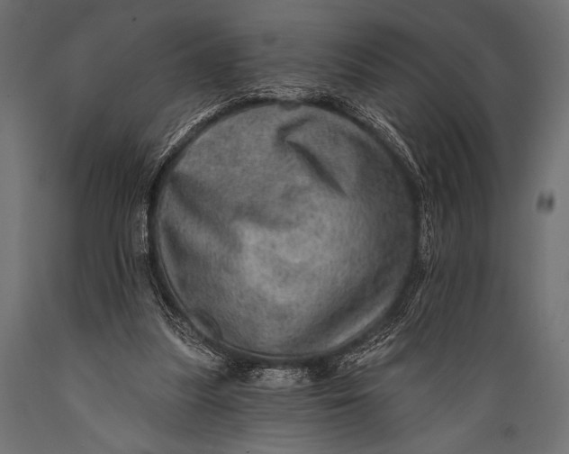 X0000088870251200706291547
